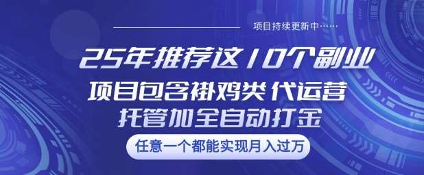 25年推荐这10个副业项目包含褂鸡类、代运营托管类、全自动打金类【揭秘】-靠谱项目库
