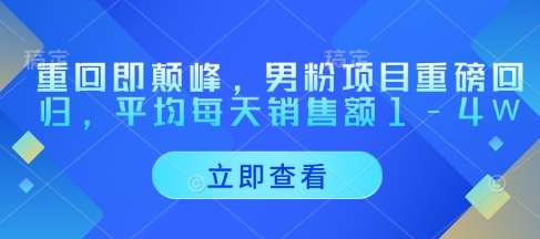 重回即颠峰，男粉项目重磅回归，平均每天销售额1-4W-靠谱项目库