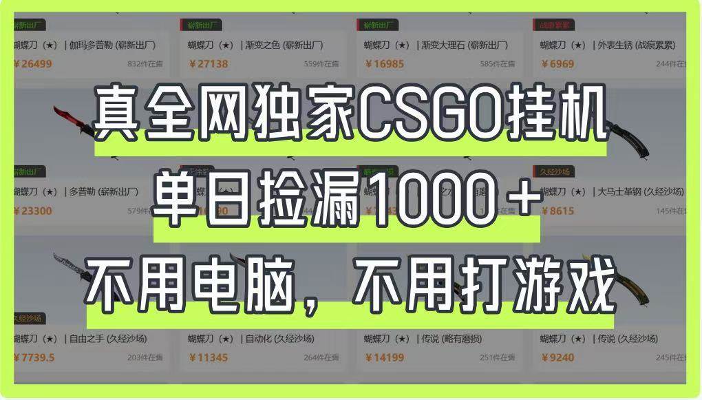 真全网独家CSGO挂机，单日捡漏1000+，不用电脑，不用养号-靠谱项目库