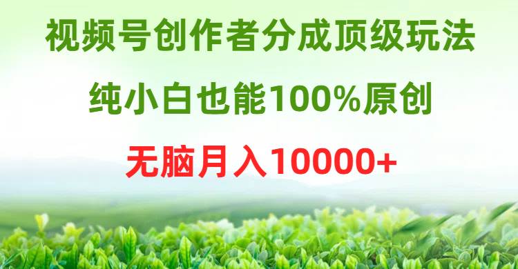 视频号创作者分成顶级玩法，纯小白也能100%原创，无脑月入10000+-靠谱项目库