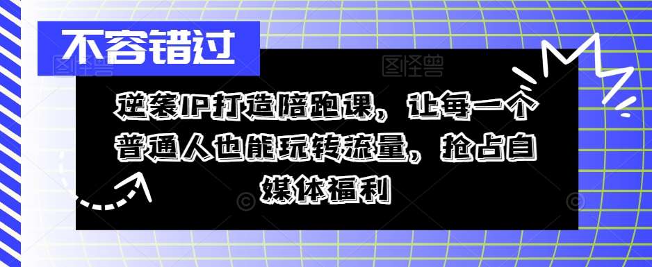 逆袭IP打造陪跑课，让每一个普通人也能玩转流量，抢占自媒体福利-靠谱项目库