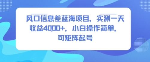 风口信息差蓝海项目，实测一天收益4k+，小白操作简单，可矩阵起号-靠谱项目库