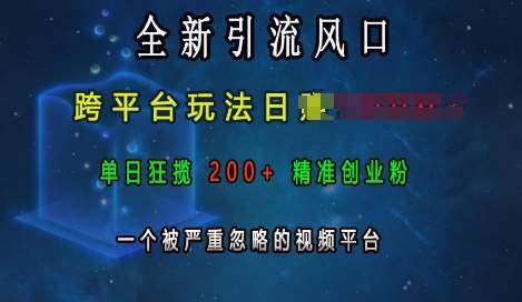 全新引流风口，跨平台玩法日入上k，单日狂揽200+精准创业粉，一个被严重忽略的视频平台-靠谱项目库