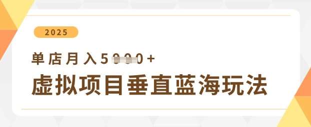 虚拟项目垂直玩法，实现单店月入5k+-靠谱项目库