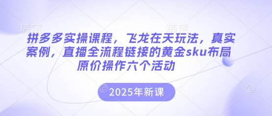 拼多多实操课程，飞龙在天玩法，真实案例，直播全流程链接的黄金sku布局原价操作六个活动-靠谱项目库