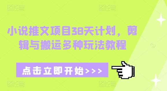 小说推文项目38天计划，剪辑与搬运多种玩法教程-靠谱项目库