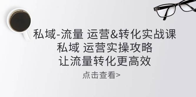 （10739期）私域-流量 运营&转化实操课：私域 运营实操攻略 让流量转化更高效-靠谱项目库