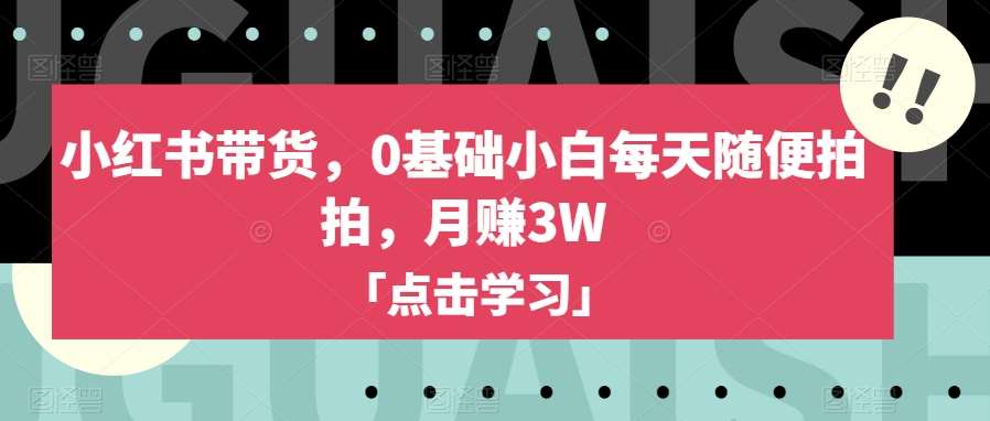 小红书带货，0基础小白每天随便拍拍，月赚3W【揭秘】-靠谱项目库