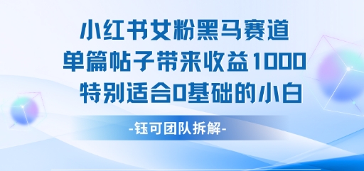 小红书女粉黑马赛道单篇帖子带来收益1k+，特别适合0基础的小白-靠谱项目库