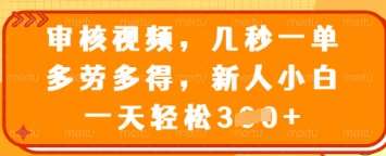 审核视频，几秒一单，多劳多得，新人小白一天轻松3张【揭秘】-靠谱项目库