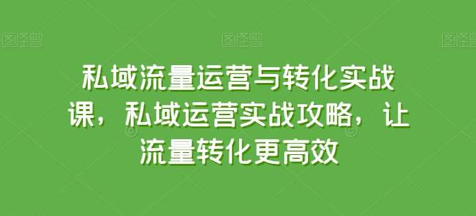 私域流量运营与转化实战课，私域运营实战攻略，让流量转化更高效-靠谱项目库