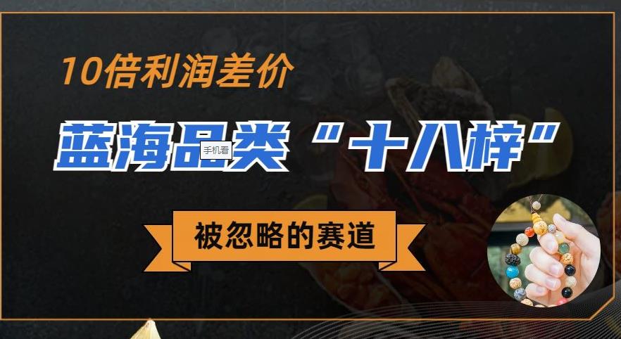 被忽略的蓝海品类“十八籽”，10倍的利润差价，同行一天几十单【揭秘】-靠谱项目库