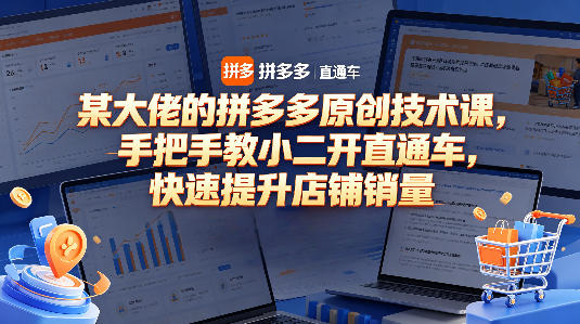 某大佬的拼多多原创技术课，手把手教小二开直通车，快速提升店铺销量-靠谱项目库