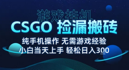 8月最新游戏搬砖，CSGO纯挂G，不需要玩游戏，实现真挂G，月入1W+【揭秘】-靠谱项目库