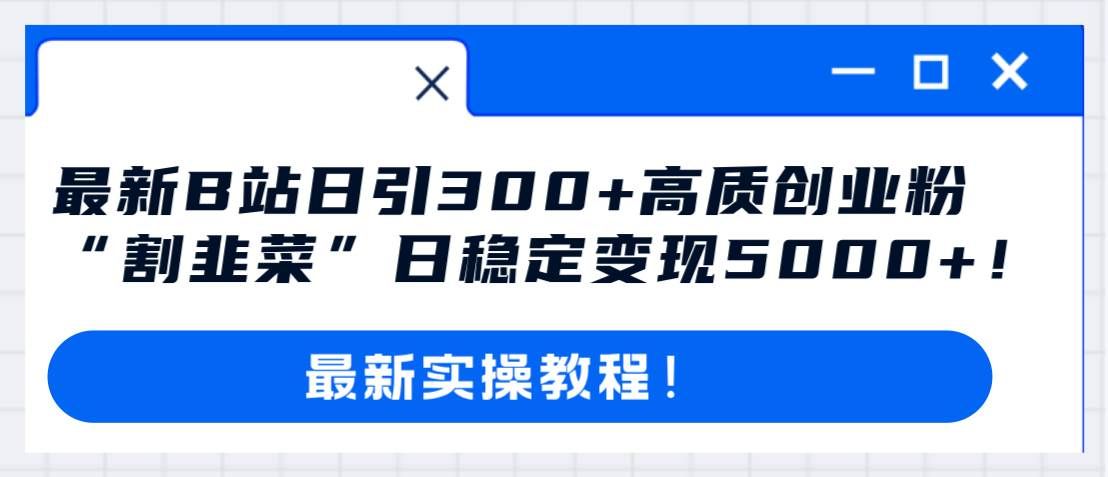 （8216期）最新B站日引300+高质创业粉教程！“割韭菜”日稳定变现5000+！-靠谱项目库