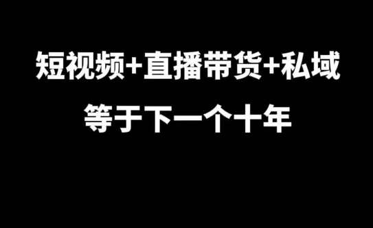 短视频+直播带货+私域等于下一个十年，大佬7年实战经验总结-靠谱项目库