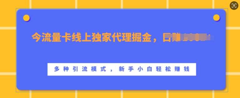 流量卡线上独家代理掘金，日入1k+ ，多种引流模式，新手小白轻松上手【揭秘】-靠谱项目库