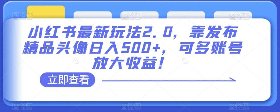 小红书最新玩法2.0，靠发布精品头像日入500+，可多账号放大收益！【揭秘】-靠谱项目库