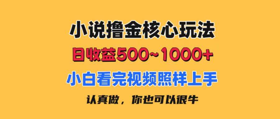 （11461期）小说撸金核心玩法，日收益500-1000+，小白看完照样上手，0成本有手就行-靠谱项目库