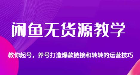 闲鱼无货源教学，教你起号，养号打造爆款链接以及转转的运营技巧-靠谱项目库