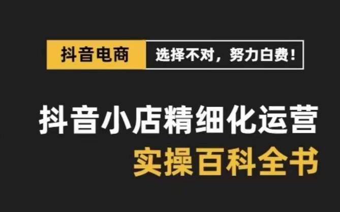 （8380期）抖音小店 精细化运营-百科全书，保姆级运营实战讲解（28节课）-靠谱项目库